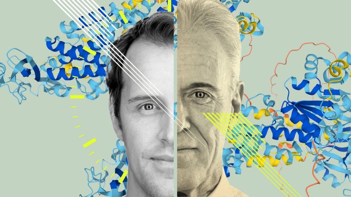 The 24-Hour Biological Rhythm That Determines How Fast Every Cell in Your Body Ages