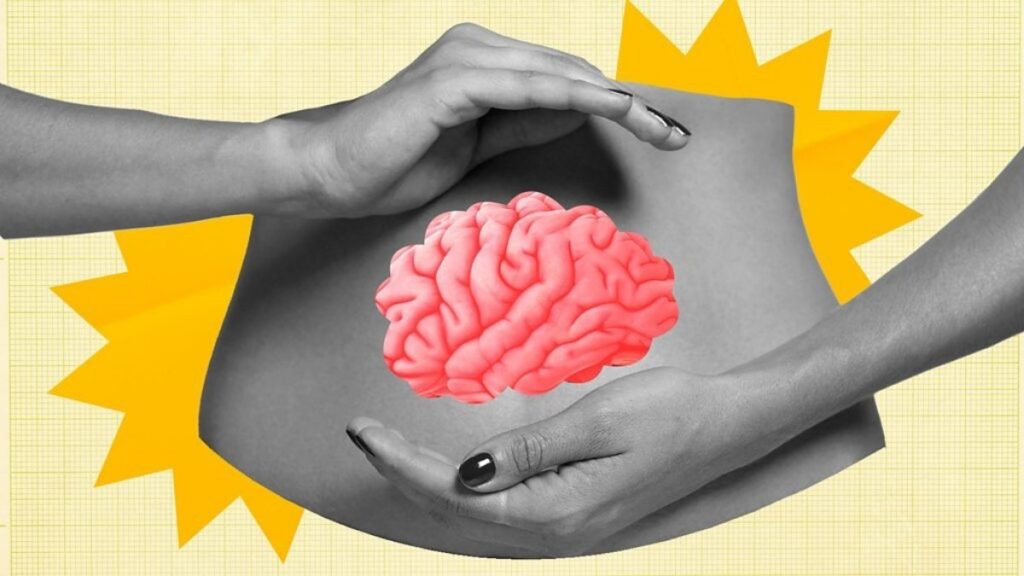 Your Second Brain: How Gut Microbes Control Memory & Mood After 50 (Don't Miss This)