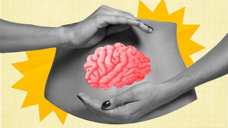 Your Second Brain: How Gut Microbes Control Memory & Mood After 50 (Don't Miss This)