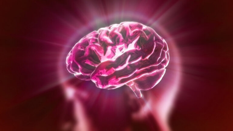 7 Brain-Protecting Foods Neurologists Actually Recommend for Cognitive Longevity