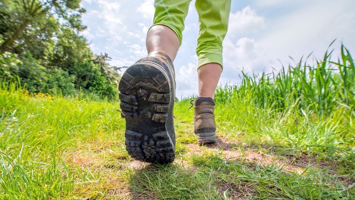 Is Your Daily Walk Actually Doing Enough for Your Heart? Here's How to Tell.